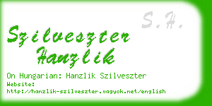 szilveszter hanzlik business card